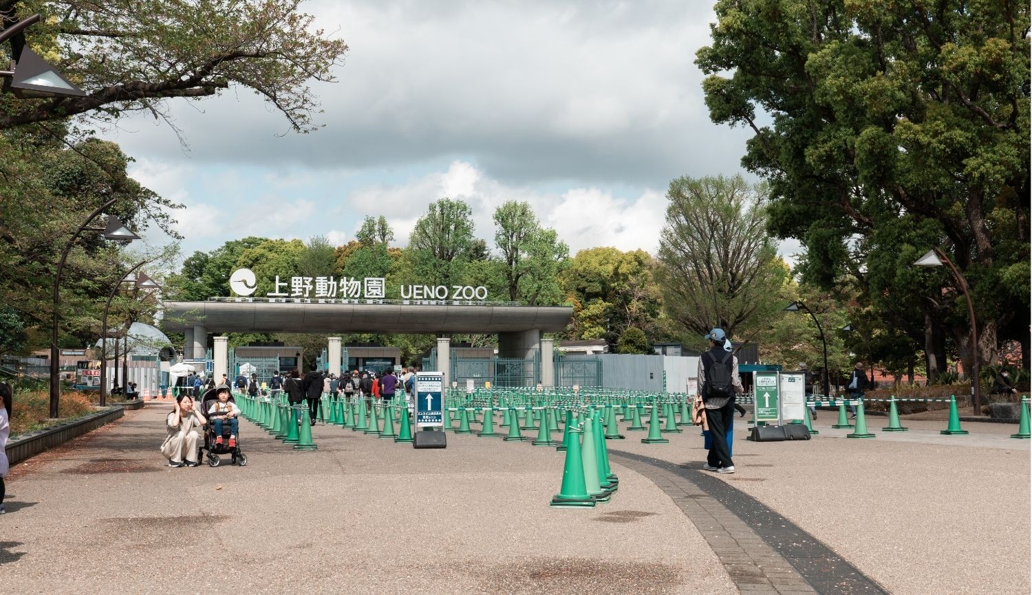 上野動物園にしかいない動物は何種類？フォッサの有無や魅力を解説